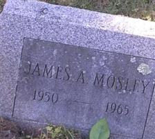 James A. Mosley