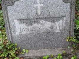 James A. Nagle
