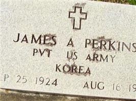 James A. Perkins