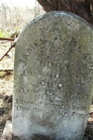 James A. Reavis