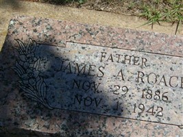 James A. Roach