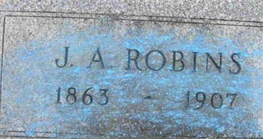 James A. Robins James A. Robins