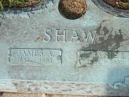James A. Shaw James A. Shaw