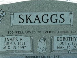 James A Skaggs