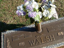 James A. Walsh James A. Walsh