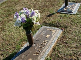 James A. Walsh James A. Walsh