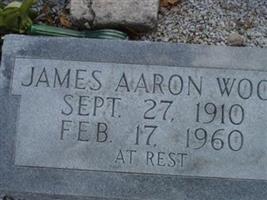 James Aaron Wood