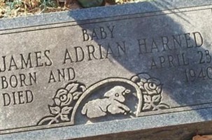 James Adrian Harned