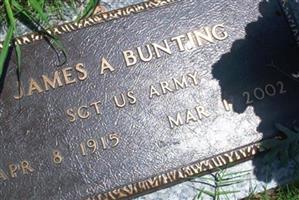 James Albert Bunting