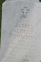 James Albert Johnson