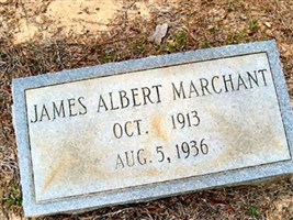 James Albert Marchant