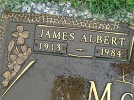 James Albert McGuire