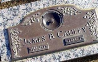 James B. Cauley