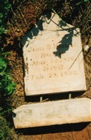 James B. Henslee James B. Henslee