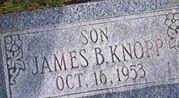 James B Knopp James B Knopp