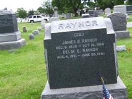 James B Raynor