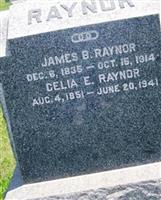 James B Raynor