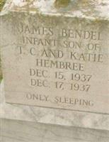 James Bendel Hembree