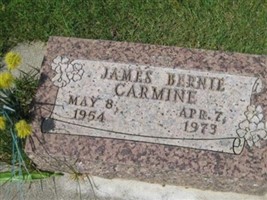 James Bernie Carmine James Bernie Carmine