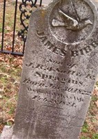 James Bibb Spragins