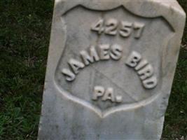 James Bird