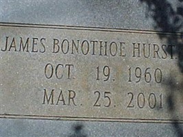James Bonothoe Hurst, Jr James Bonothoe Hurst, Jr