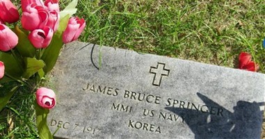James Bruce Springer James Bruce Springer