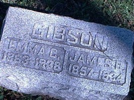 James Bucannon Gibson James Bucannon Gibson
