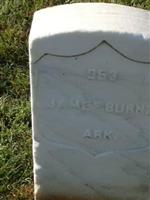 James Burns