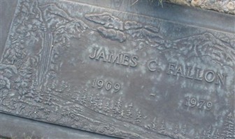 James C Fallon