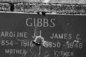 James C Gibbs James C Gibbs