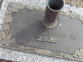 James C. Gibbs, Sr James C. Gibbs, Sr