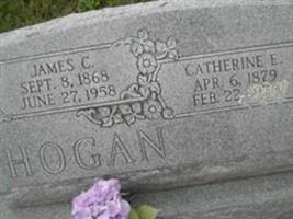 James C. Hogan