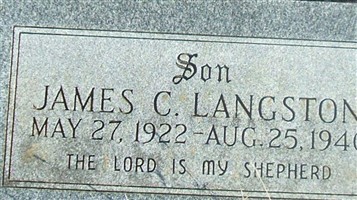 James C Langston James C Langston