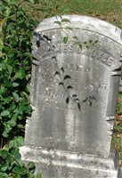 James C Royce