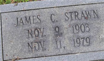 James C Strawn