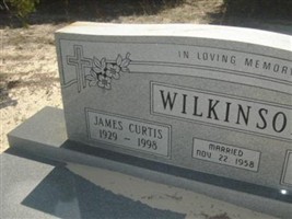 James C. Wilkinson James C. Wilkinson
