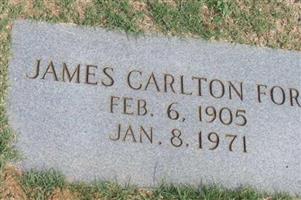 James Carlton Ford