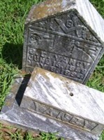 James Cicero Yancy