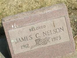 James Conrad Nelson