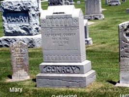 James Conroy James Conroy