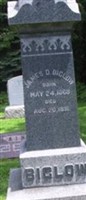 James D Biglow James D Biglow