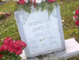 James D Dingus (2238294.jpg) James D Dingus (2238294.jpg)