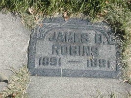 James D Robins James D Robins