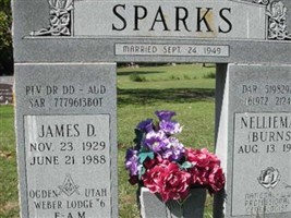 James D. Sparks