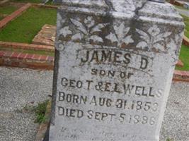 James D. Wells