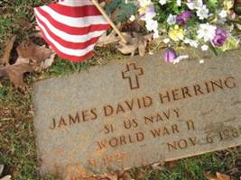 James David Herring