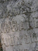 James David Whaley