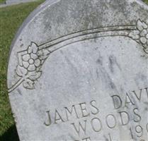 James David Woods
