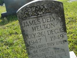 James Delvin Helton